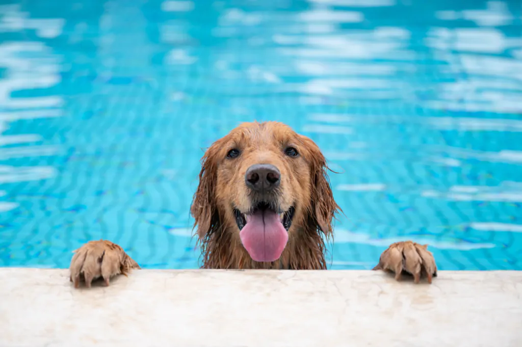 shutterstock 1714444150 – 2